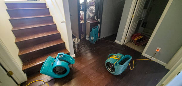 Best Flooded house restoration  in Bangor, MI