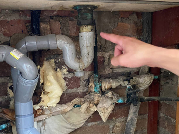 Best Mold removal after water damage  in Bangor, MI